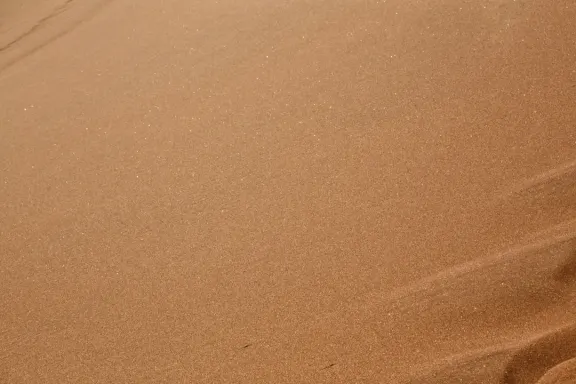 Kaszinó Bingo Millionaire Támogatás